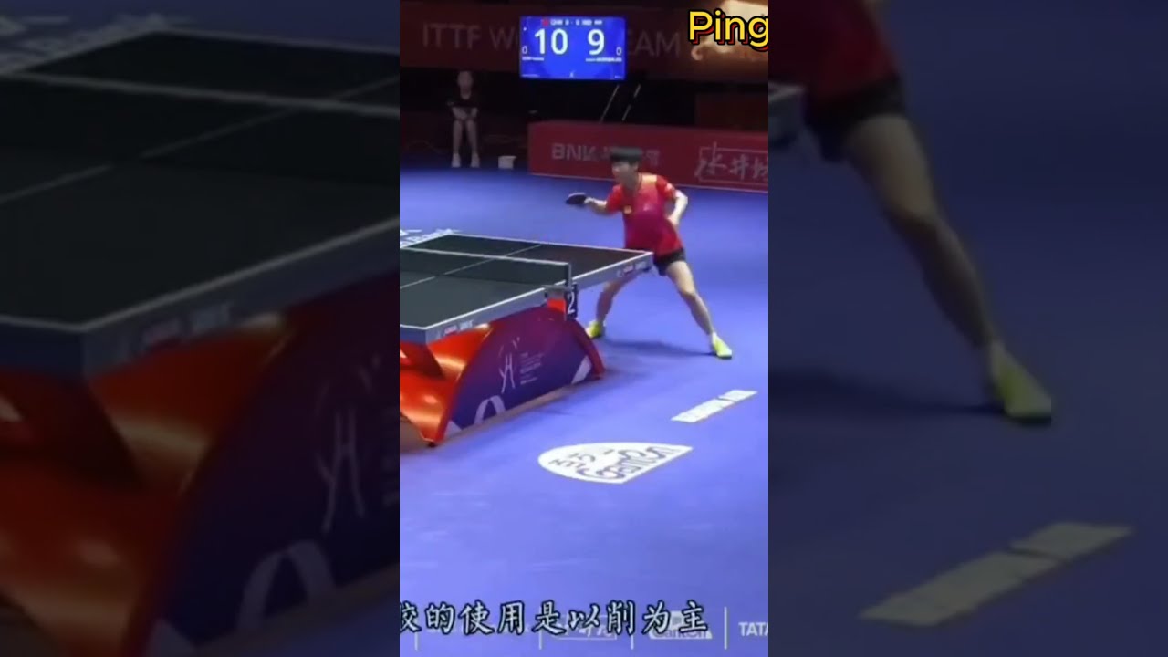 组织的共同