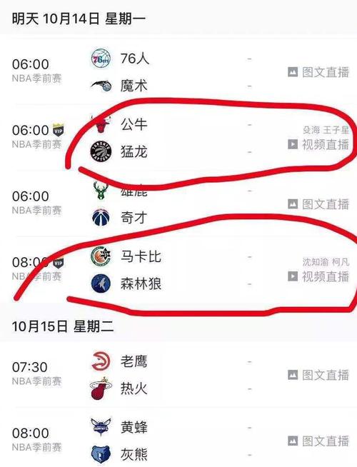 入到美国队